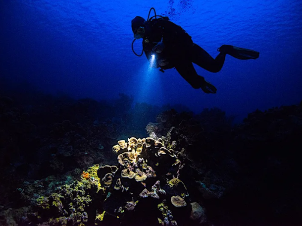 Scuba diver doign  a night dive course with PADI and dive centre bondi in Sydney